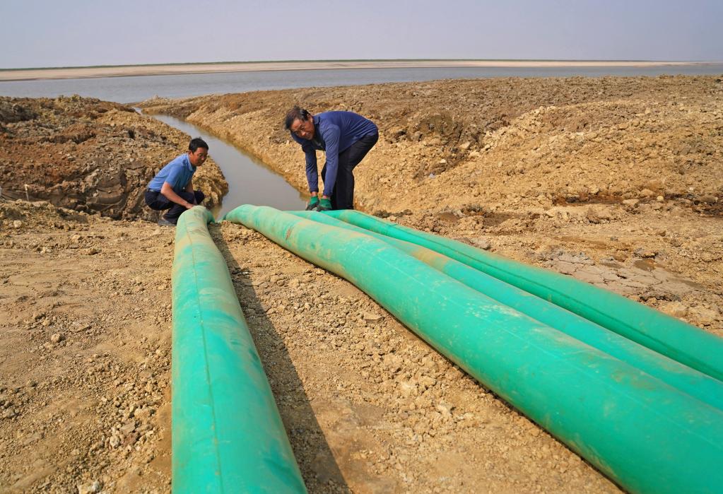 鄱陽湖:為候鳥“留水”