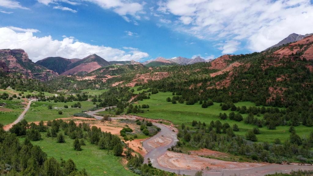 喜迎二十大丨青海:“生態優先”引領綠色發展