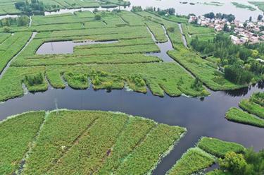 鏡頭里的十年&middot;奔向美好丨雄安，&ldquo;未來之城&rdquo;拔節(jié)生長