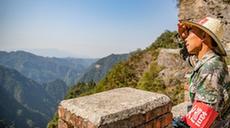 &ldquo;守山人&rdquo;張廷剛：以林為伴見證金佛山蝶變