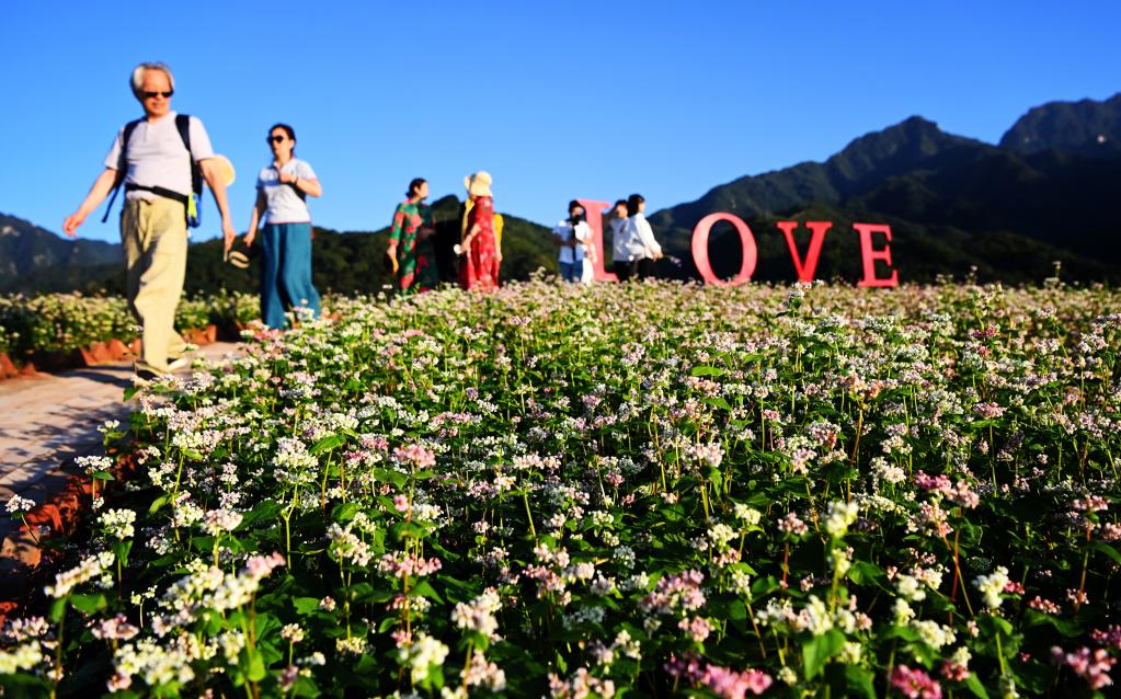 新華全媒+丨西安：發展&ldquo;農業景區&rdquo; 助力鄉村振興