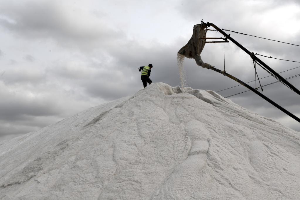 濱州沾化:40萬畝秋鹽收獲