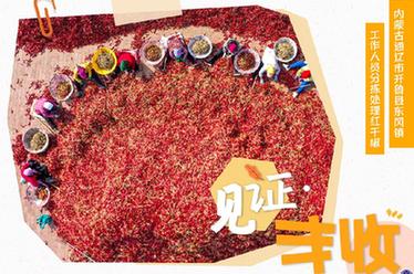 見證&middot;豐收