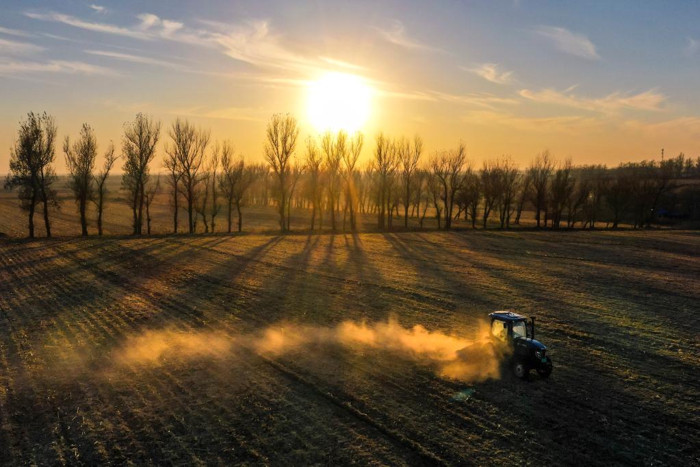 新華全媒+｜吉林：秋糧收儲進行時 &ldquo;翻地越冬&rdquo;備明春