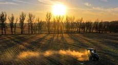 新華全媒+|吉林:秋糧收儲進行時 “翻地越冬”備明春