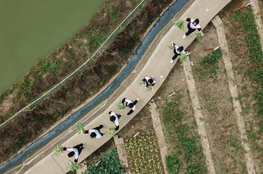 &ldquo;校園農場&rdquo;體驗豐收農忙