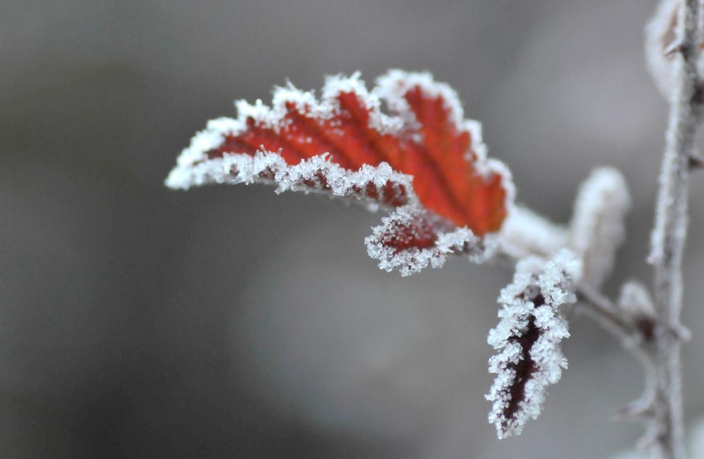新華全媒+丨微視界&mdash;&mdash;立冬
