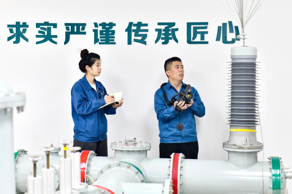 新華全媒+&middot;二十大代表在基層丨馮新巖：攻堅克難筑牢國家電網安全防線