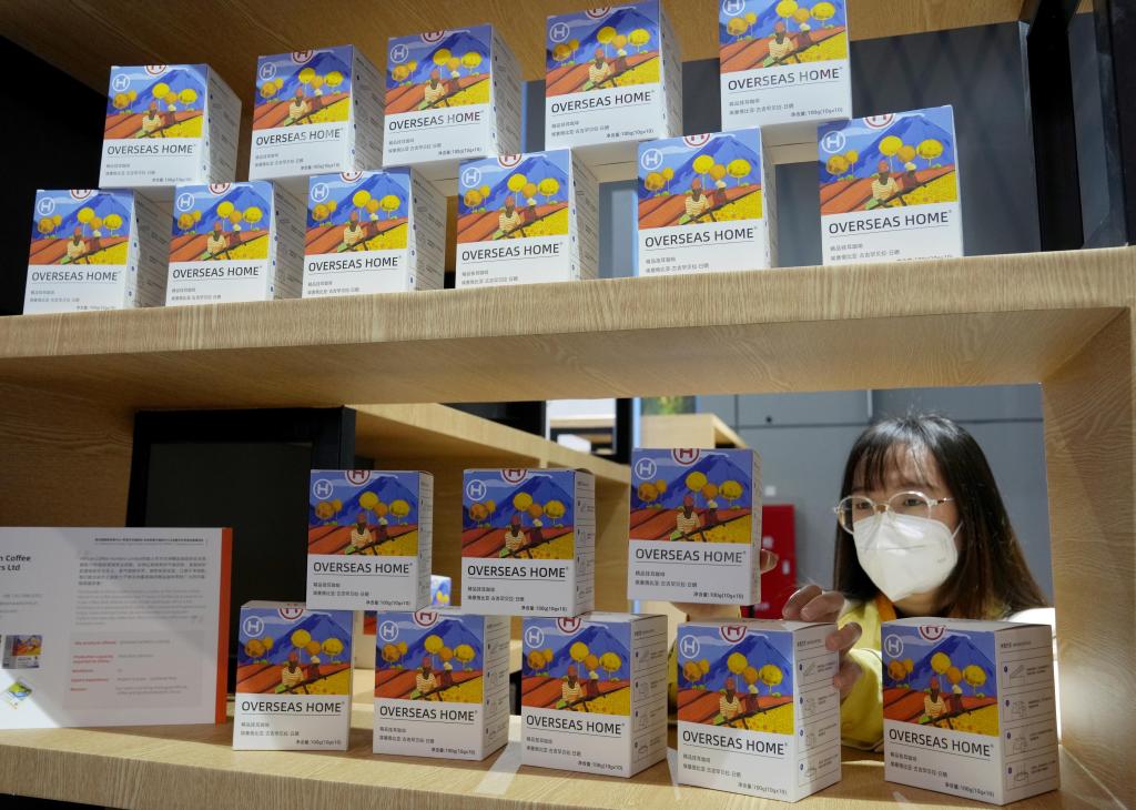 進博會上的&ldquo;非洲味道&rdquo;