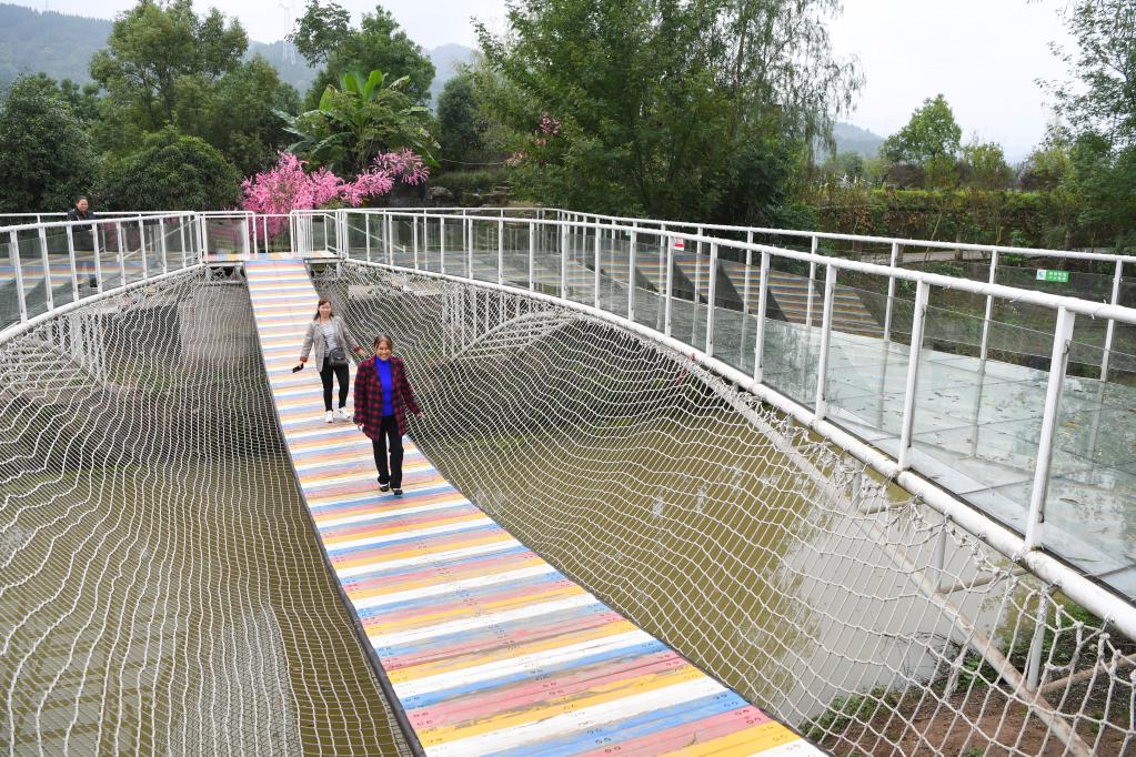 新華全媒＋丨重慶：人才下鄉激活產業振興&ldquo;一池春水&rdquo;