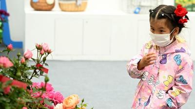 安徽合肥：&ldquo;苗交會(huì)&rdquo;引客來(lái)