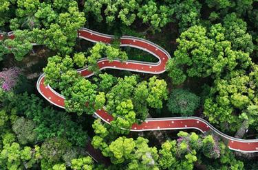 福州:打造慢行步道系統 提升居民幸福感