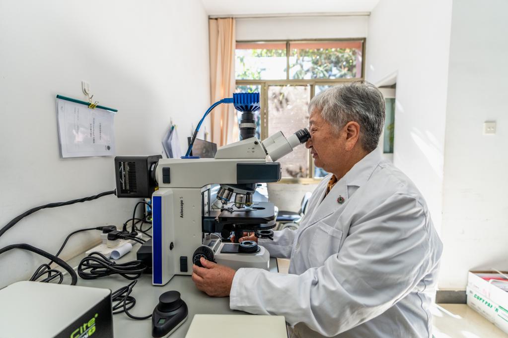 新時代新征程新偉業·二十大代表在基層丨朱兆云:以科技創新推動民族藥高質量發展