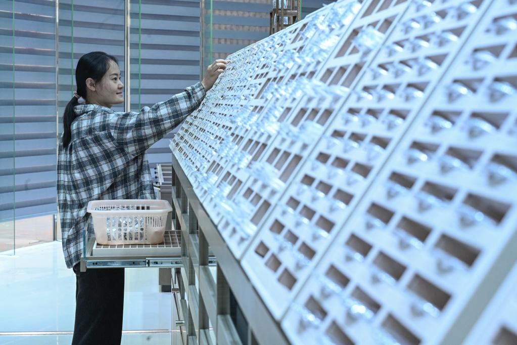 福建莆田:小銀飾做出富民產(chǎn)業(yè)