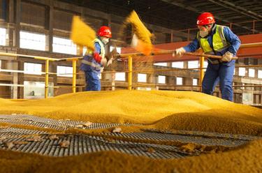 貴州福泉:多措并舉增強企業發展動力