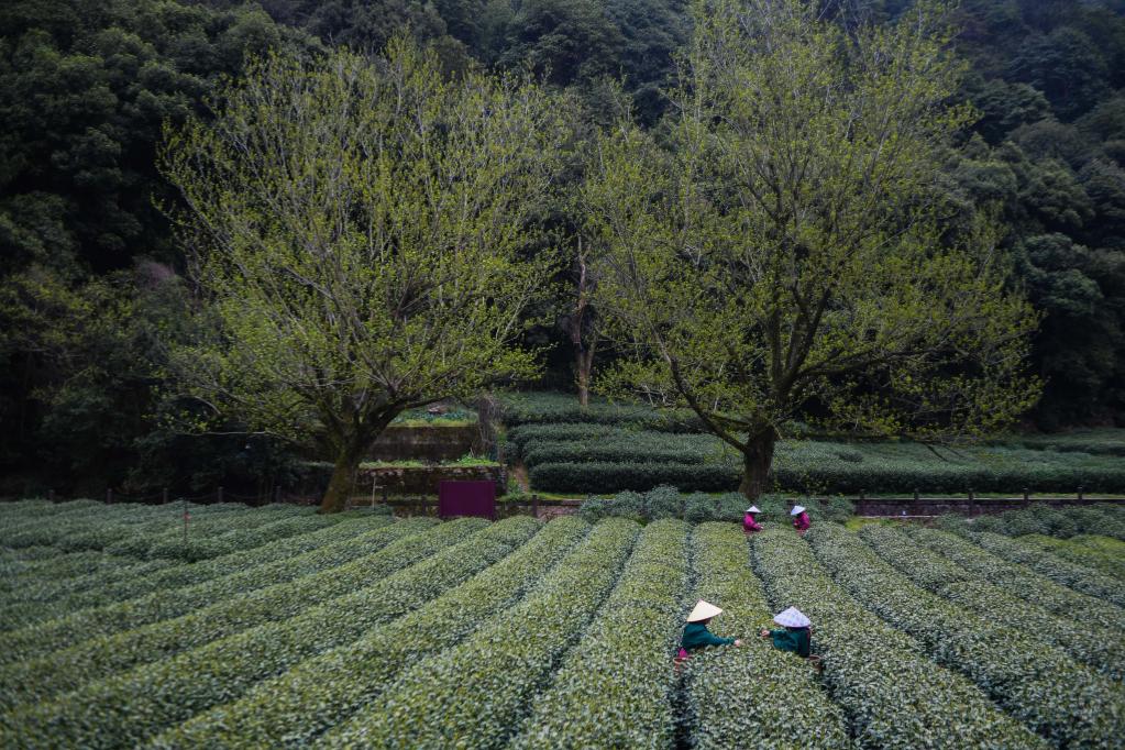 年終報道&middot;2022奔向美好｜經(jīng)濟(jì)發(fā)展破浪向前