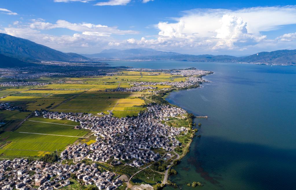 年終報(bào)道·2022奔向美好|鄉(xiāng)村振興新圖景