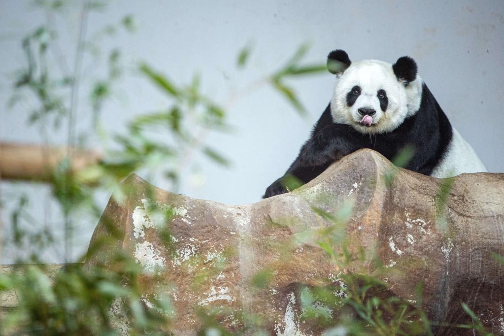 國際&middot;一周看天下