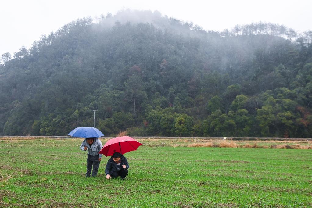 浙江臨安:培育青創人才 助力鄉村振興