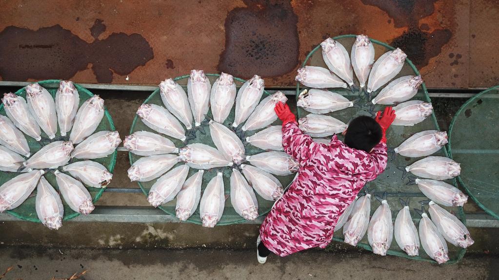 湖南岳陽:特色風干魚供應市場