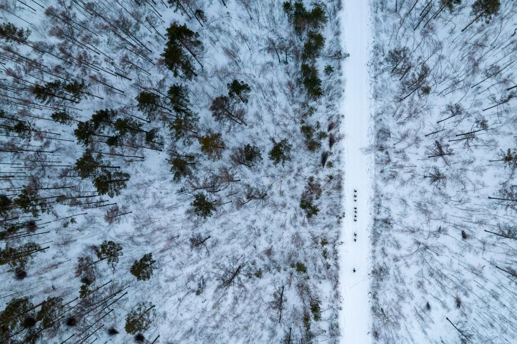 新華全媒+丨&ldquo;失聯&rdquo;一個多月，他們在林海守護生態屏障