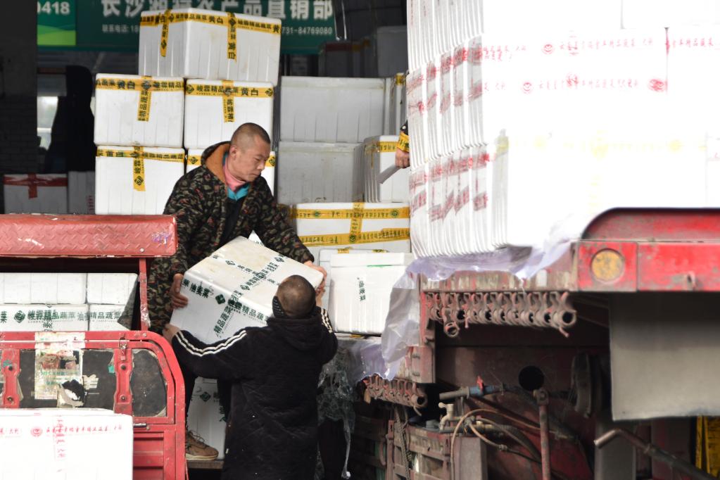 千里調蔬菜 全力保供應&mdash;&mdash;湖南最大&ldquo;菜籃子&rdquo;一線見聞