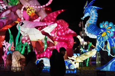 青島：賞新春燈會(huì) 游奇幻&ldquo;海洋&rdquo;