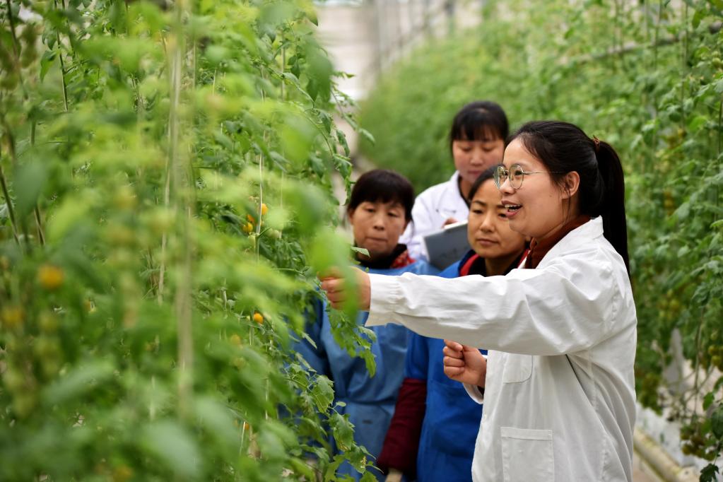 新華全媒+丨&ldquo;90后&rdquo;返鄉(xiāng)新農(nóng)人的新春記事