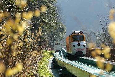 湖南張家界：節(jié)后旅游熱度不減