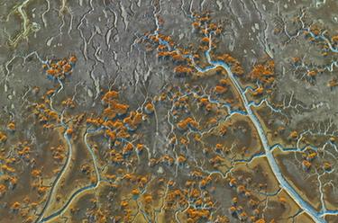 遼河口濕地瞰&ldquo;冰脈&rdquo;