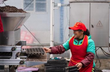 新華全媒＋丨田間地頭的&ldquo;黑科技&rdquo;