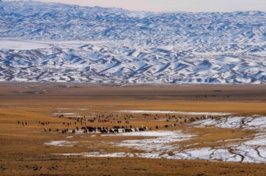 新華全媒+丨新疆四季：冬&mdash;&mdash;&ldquo;冰火&rdquo;二重奏