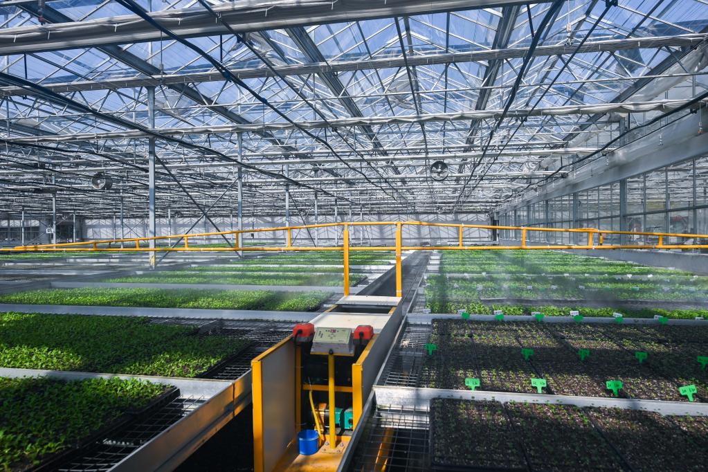 浙江嘉興：數(shù)字化新農(nóng)具耕出&ldquo;智慧田&rdquo;