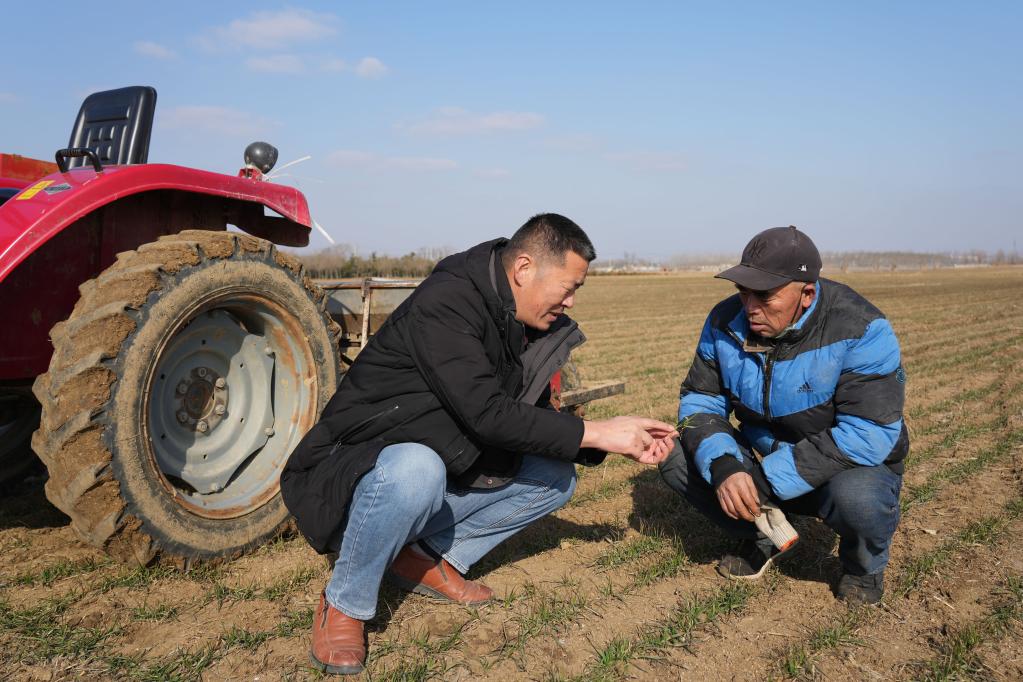 &ldquo;田管家&rdquo;春耕備耕忙