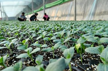 產業助民富 &ldquo;泛區&rdquo;展新顏