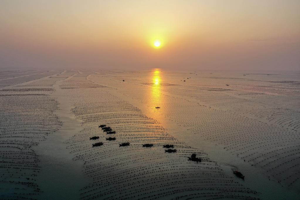 山東榮成：早春時節(jié) &ldquo;耕海牧漁&rdquo;