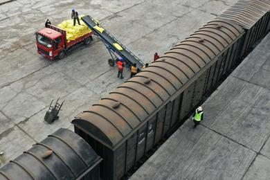 強信心&middot;開新局丨駛向田野的&ldquo;春耕列車&rdquo;