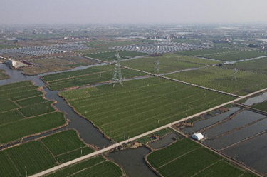 安徽蕪湖：&ldquo;小田變大田&rdquo;為鄉村振興注入新動能