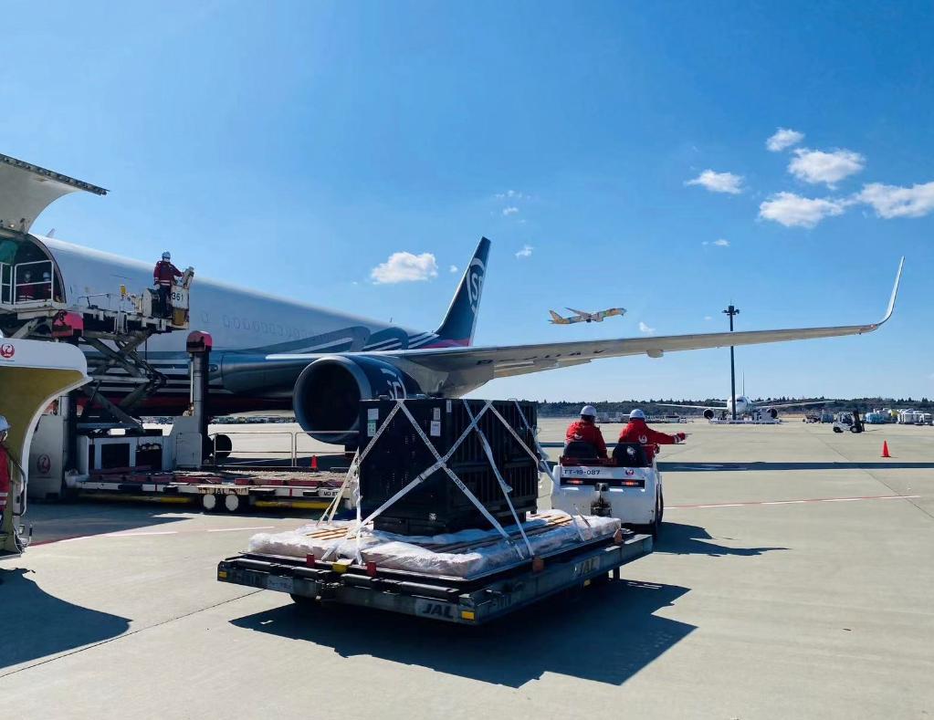 大熊貓&ldquo;香香&rdquo;從日本乘包機(jī)回國