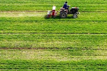 春暖農(nóng)事忙&nbsp;