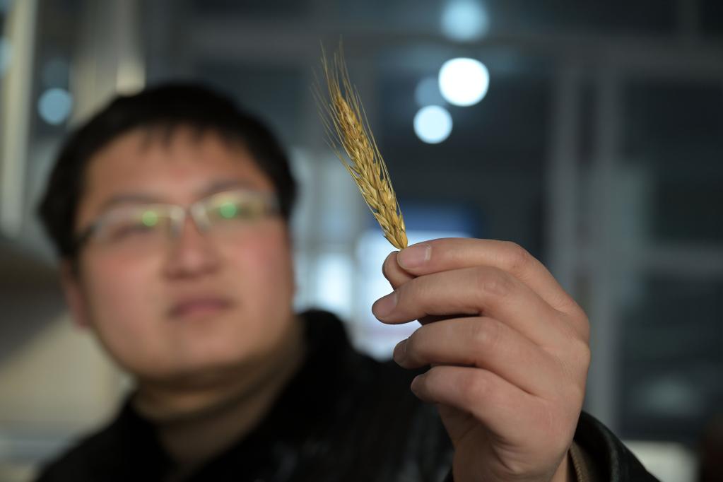 新華全媒+丨返鄉&ldquo;新農人&rdquo;的&ldquo;興農夢&rdquo;