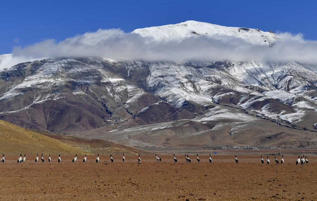 鏡觀中國(guó)&middot;新華社國(guó)內(nèi)新聞?wù)掌恢芫x