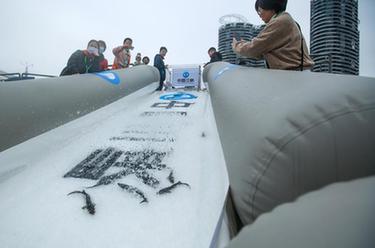 中華鱘保護(hù)日 湖北宜昌舉行中華鱘放流活動