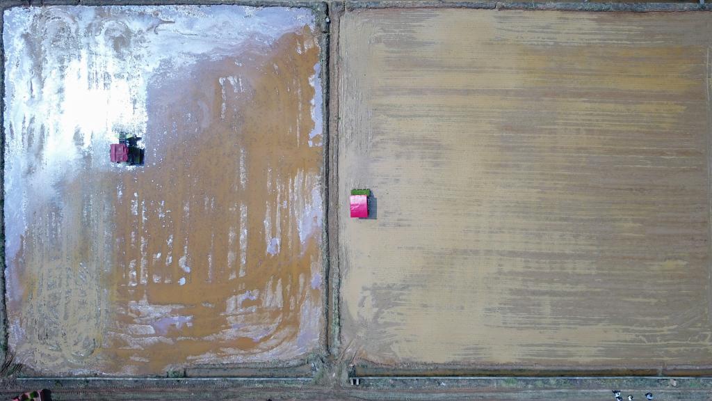 春季耕種正當時 機械插秧&ldquo;加速度&rdquo;