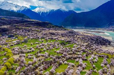 鏡觀中國(guó)·新華社國(guó)內(nèi)新聞?wù)掌恢芫x