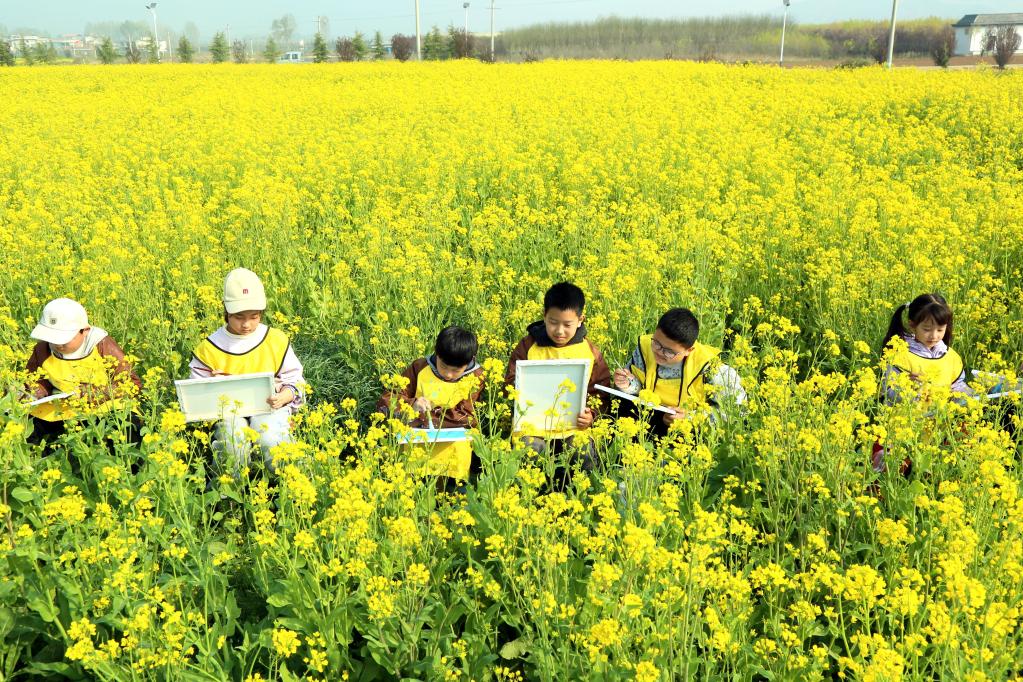 河南汝陽：鐵頂山下花芬芳