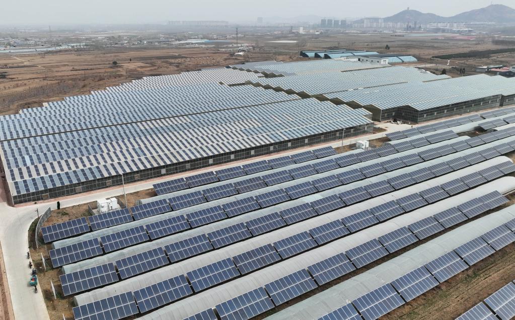 河北撫寧:“農光互補”低碳富農