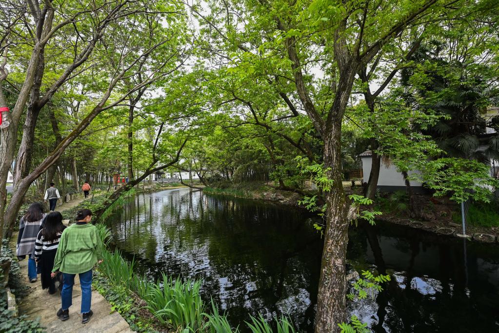 浙江嘉興:打造美麗鄉(xiāng)村旅游精品線