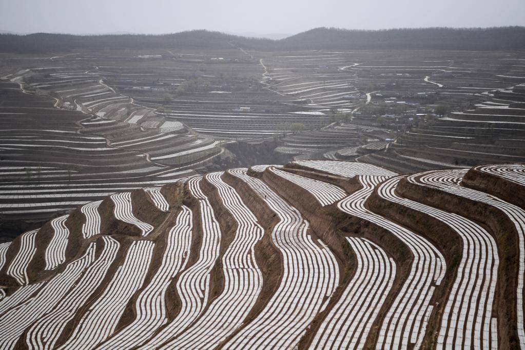 甘肅靜寧:農(nóng)田高標(biāo)準(zhǔn) 春耕底氣足