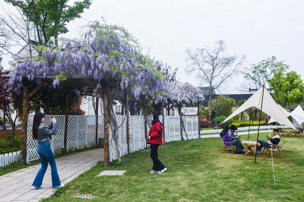 浙江織里:春季鄉(xiāng)村旅游經(jīng)濟(jì)升溫